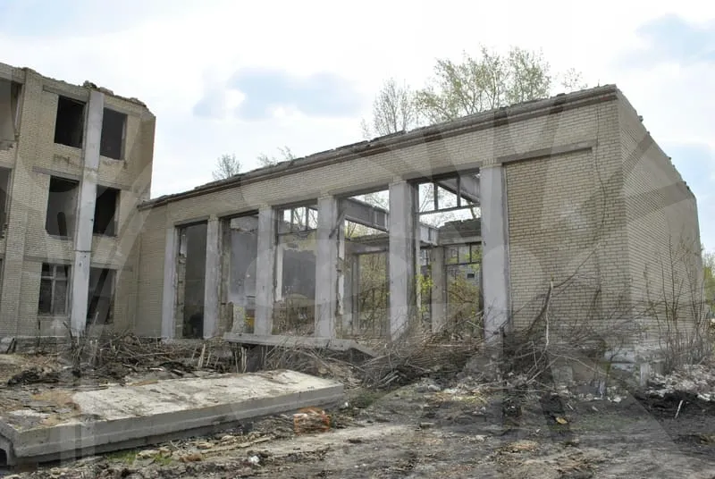 손해사정사하는일