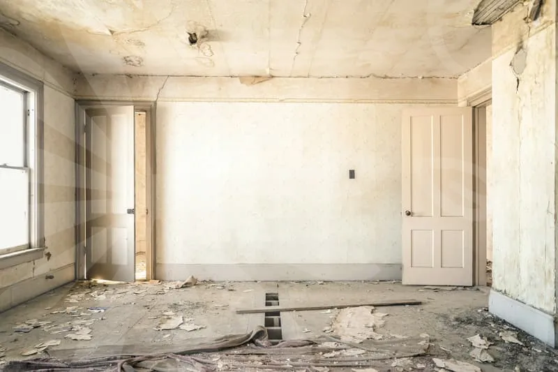 다이렉트화재보험