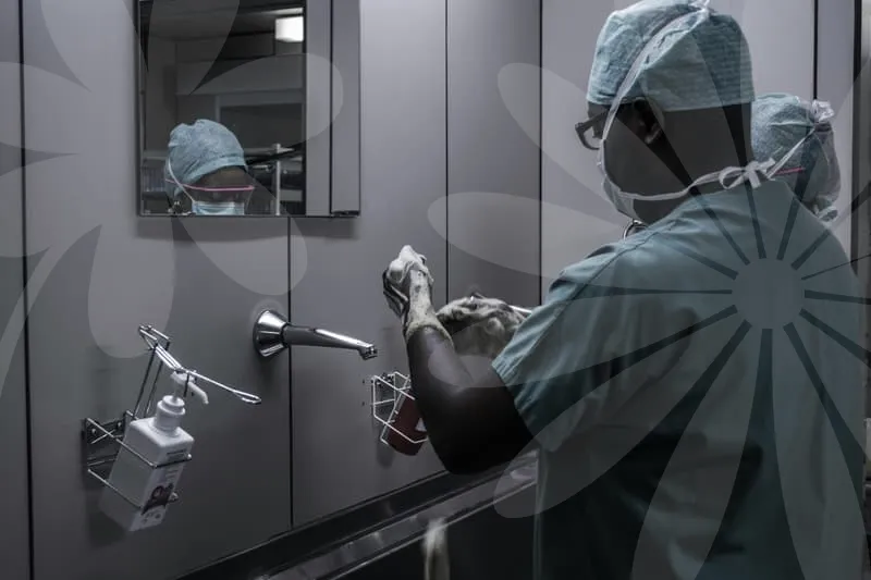 일요일진료병원