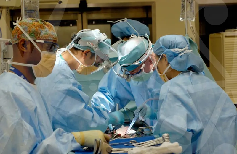 일요일진료병원