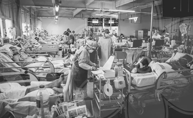 감기에좋은음식