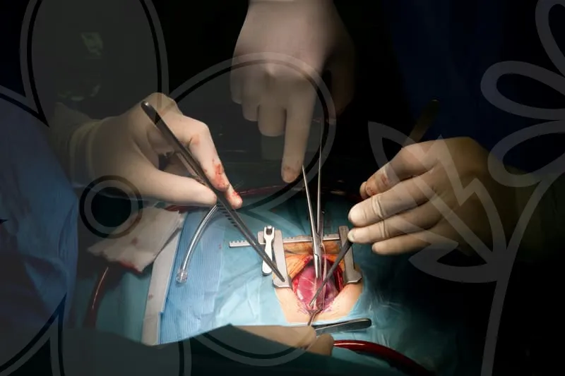 정신건강의학과