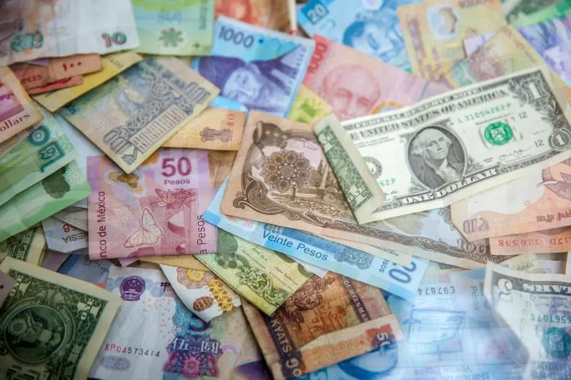 청년창업지원금