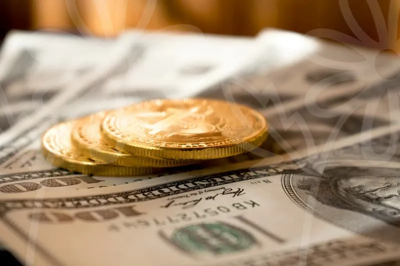 청년창업지원금