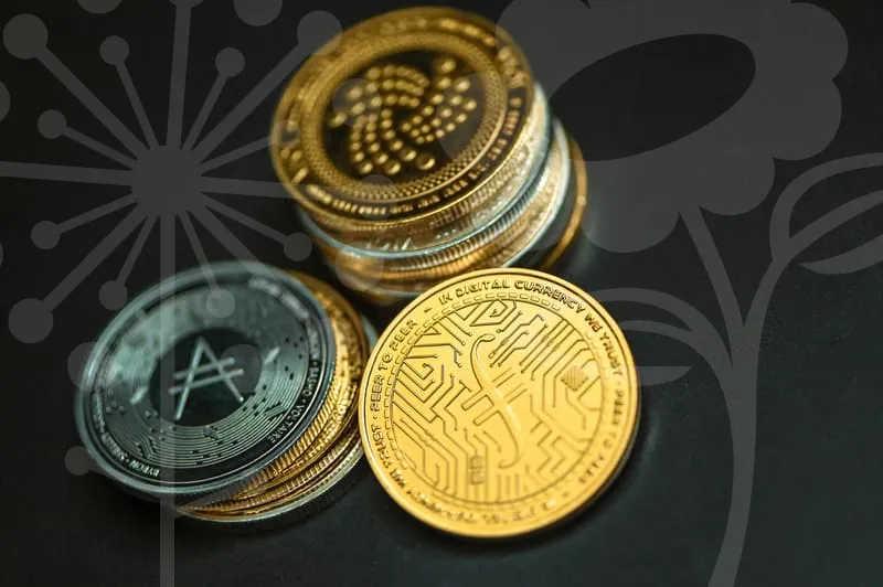 소상공인정책자금