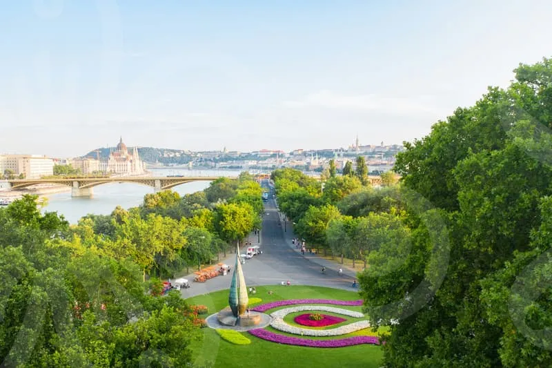 네이버플레이스