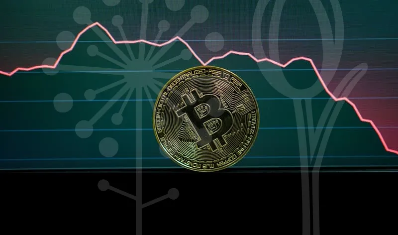 중소기업지원금