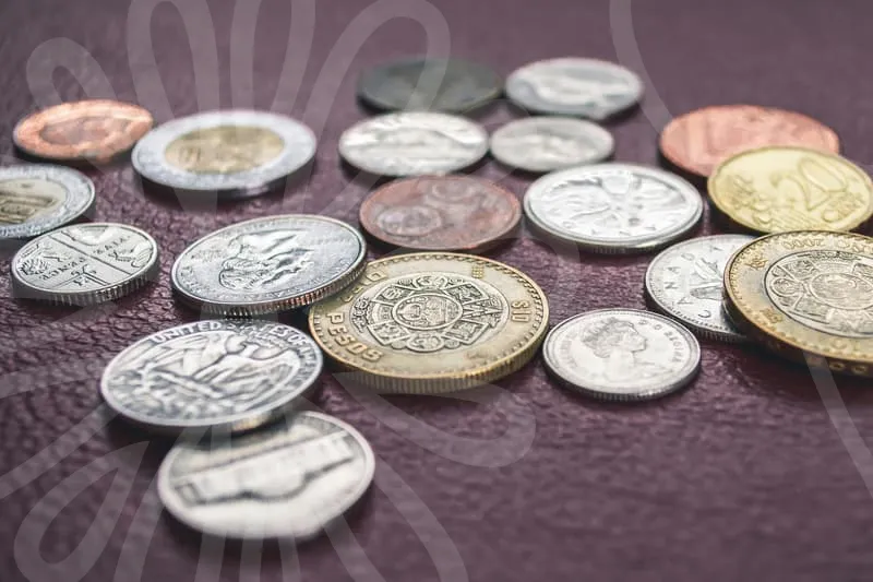 소상공인지원사업