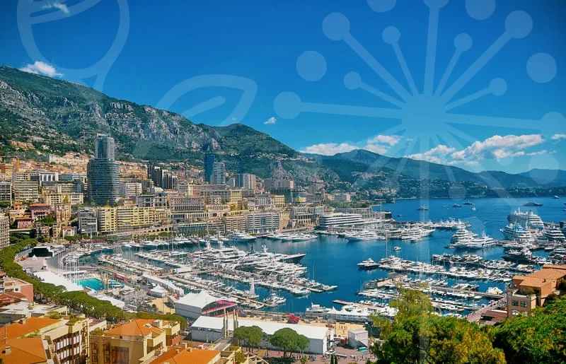 기업부설연구소