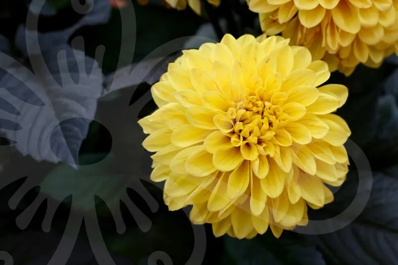 퇴직연금수령방법