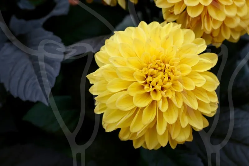 신용보증재단대출