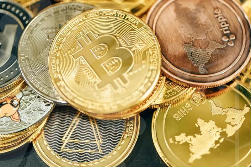 중소기업지원금