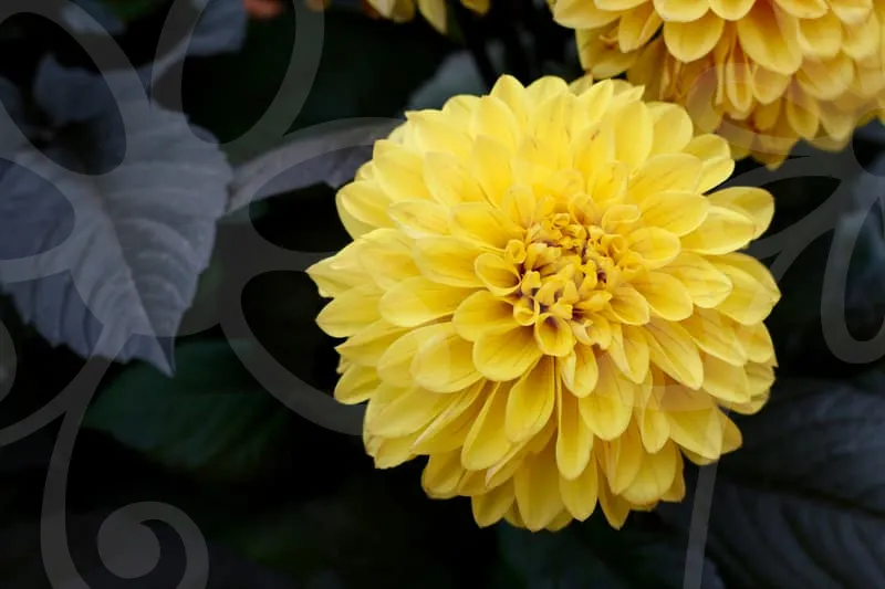 해외주식양도소득세