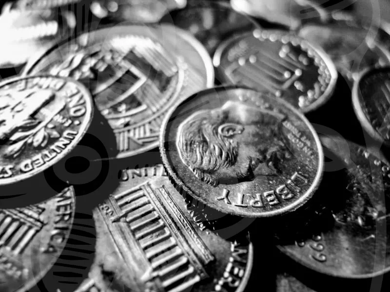 정부지원금신청