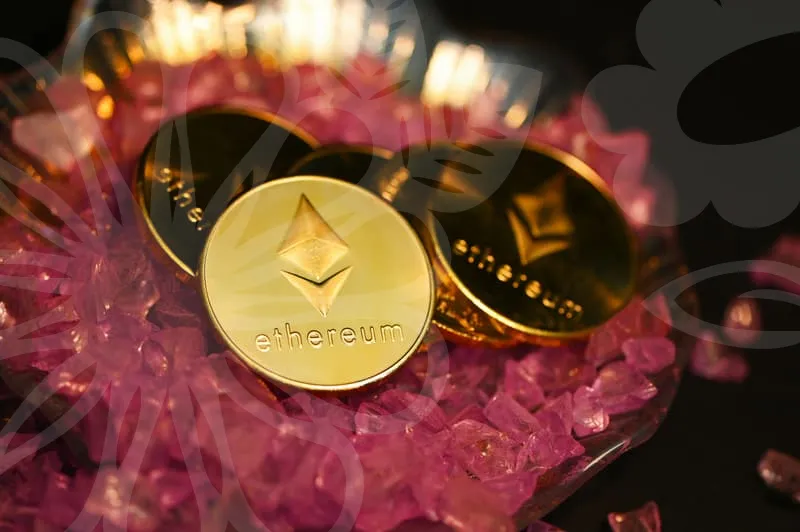 업소용식기세척기