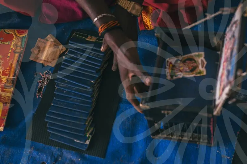 무료사주사이트