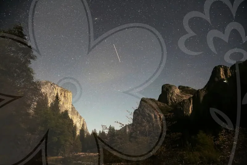 닭띠오늘의운세