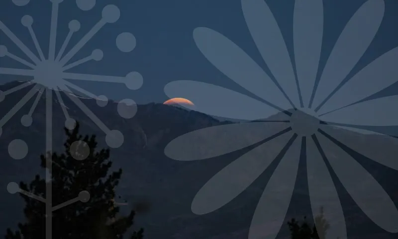 남양주가볼만한곳