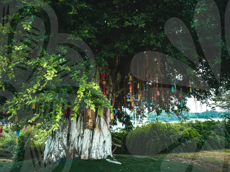 양평가볼만한곳