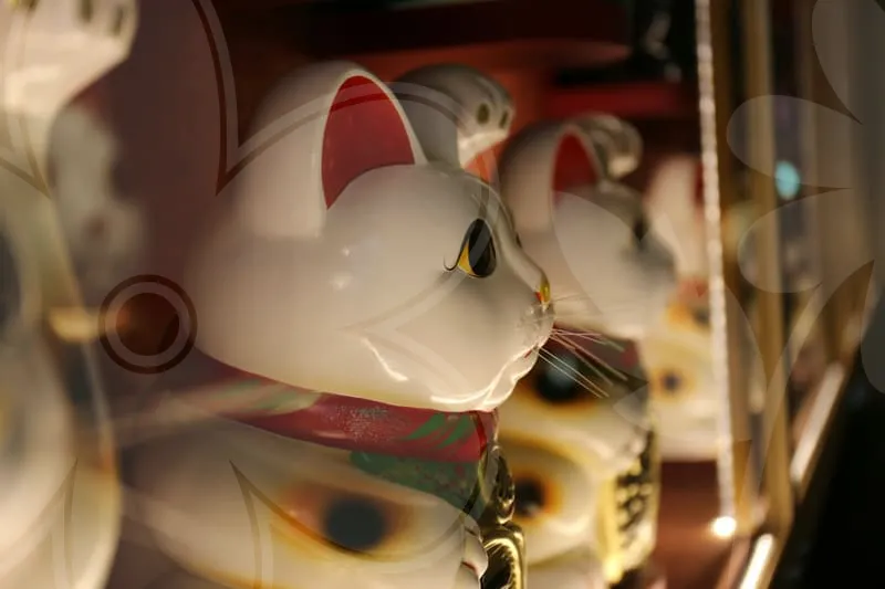 무료사주사이트