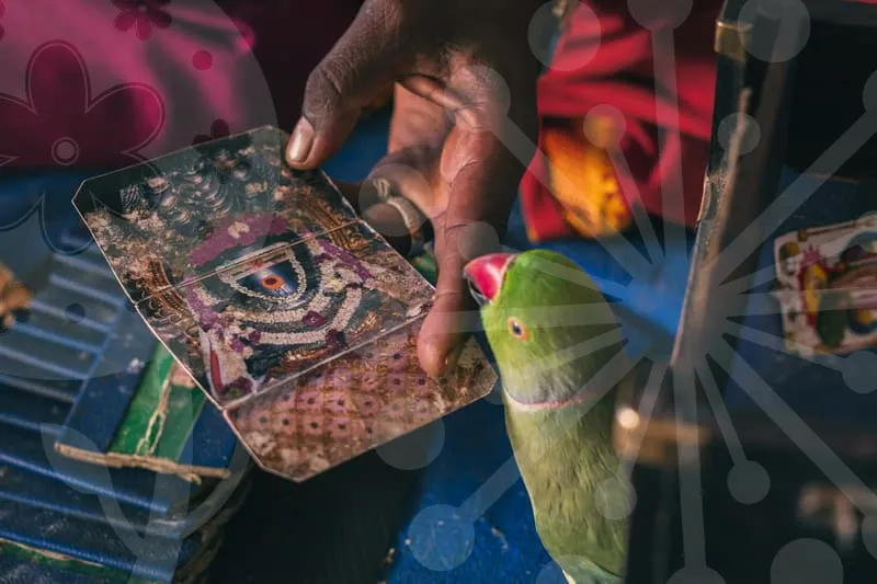 비오는날갈만한곳