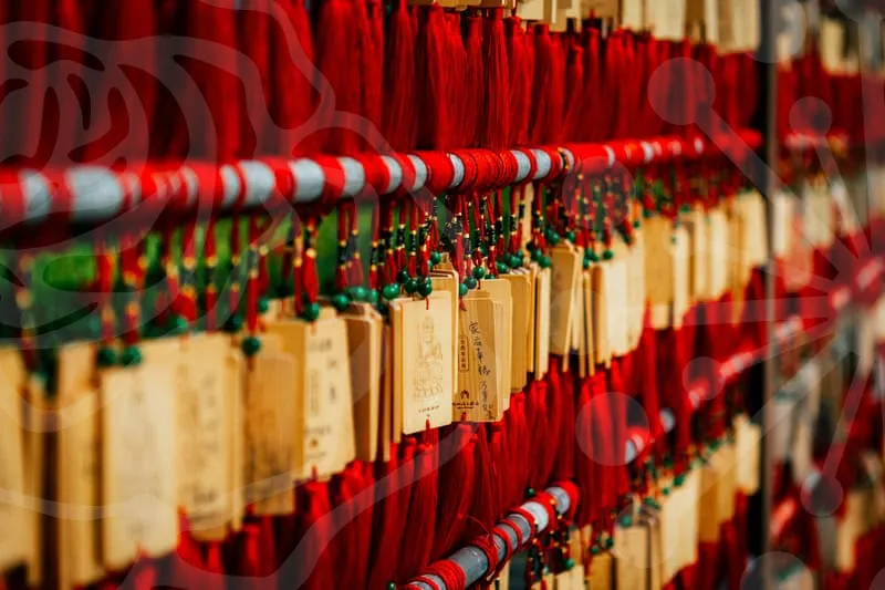 띠별오늘의운세