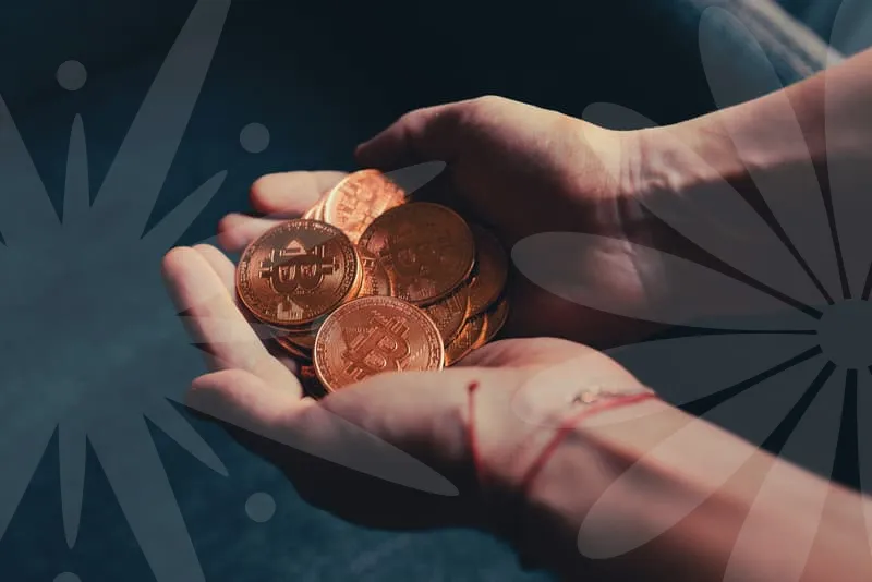 마이크로소프트주가