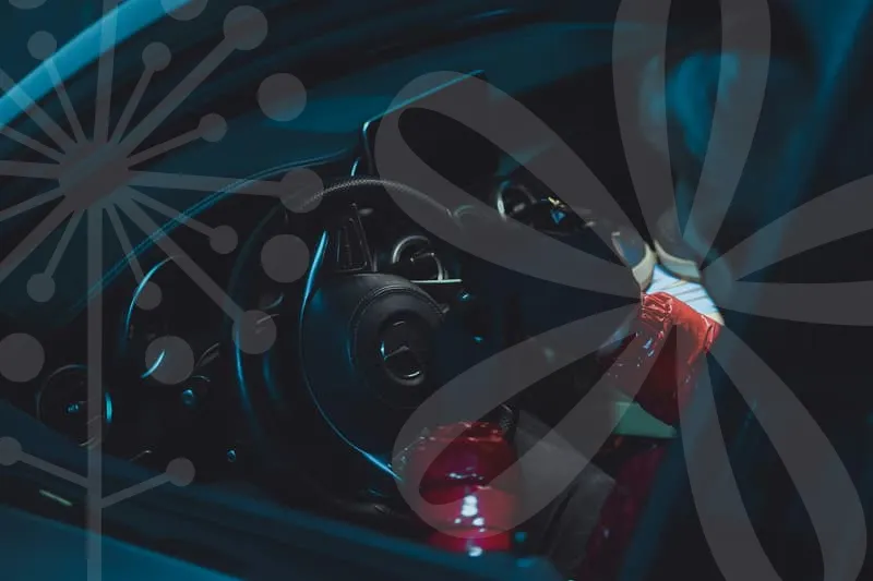 기아자동차주가