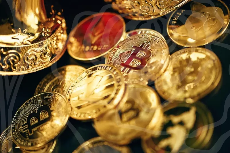 기아자동차주가