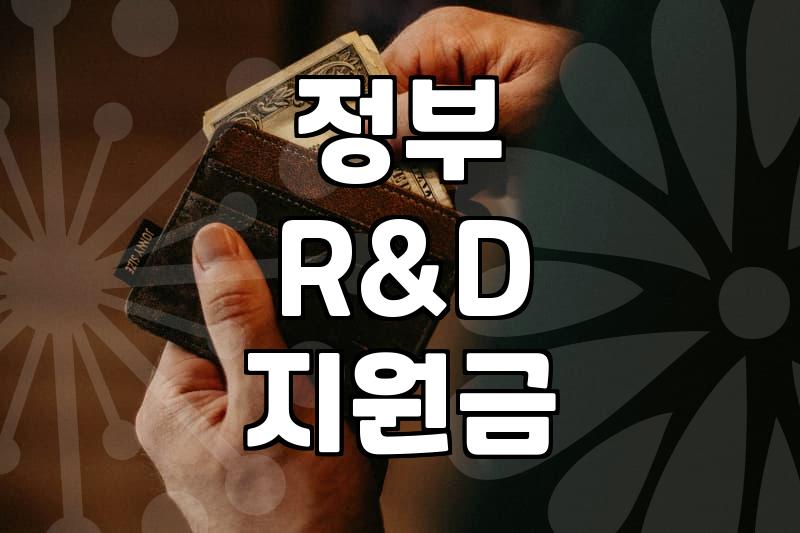 창업지원금 종류별 신청 조건과 현금 지원 한도
