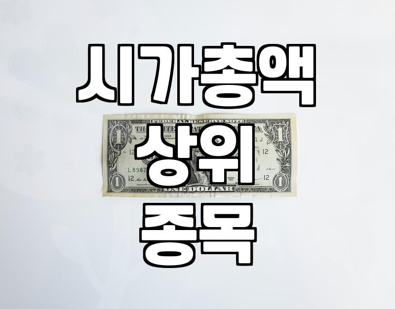 코스피시총순위 확인 방법과 투자 시 유의해야 할 시장 구조
