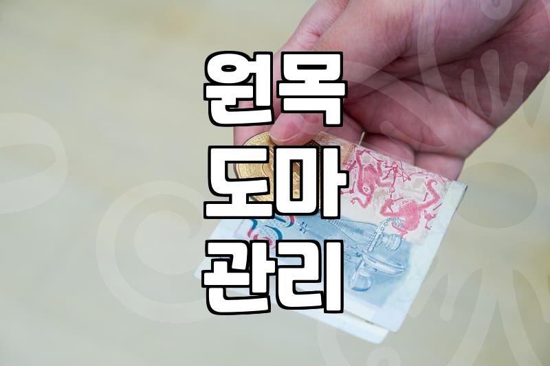 느티나무도마 관리 방법과 장기 사용을 위한 필수 관리 기준