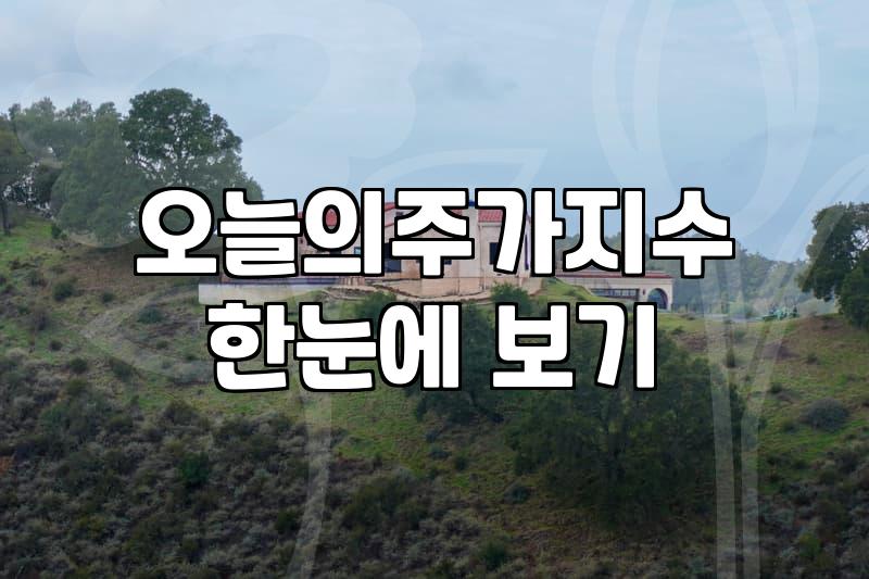 코스피차트 분석할 때 반드시 확인해야 할 기술적 지표와 해석 방법