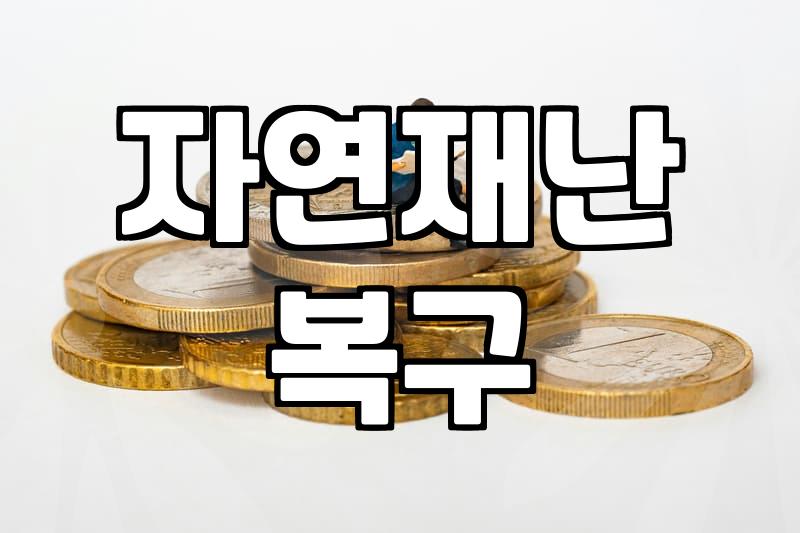 재난지원금 지급 조건과 피해 복구 지원금 산정 기준