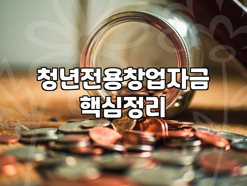 청년창업지원금 자격 조건과 신청 시 주의해야 할 핵심 사항