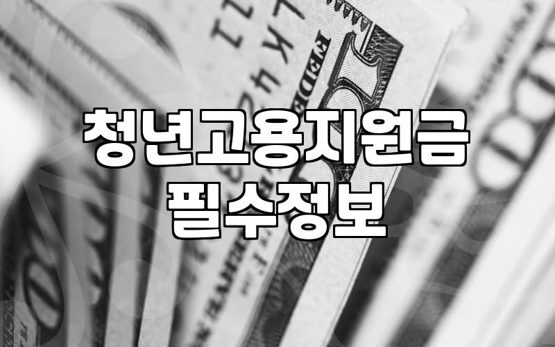 청년지원금 신청 전 반드시 확인해야 할 필수 자격 요건