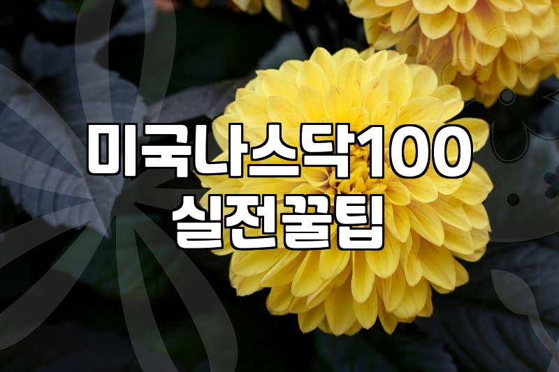 나스닥ETF 투자 시 고려할 세금과 운용 비용의 실제