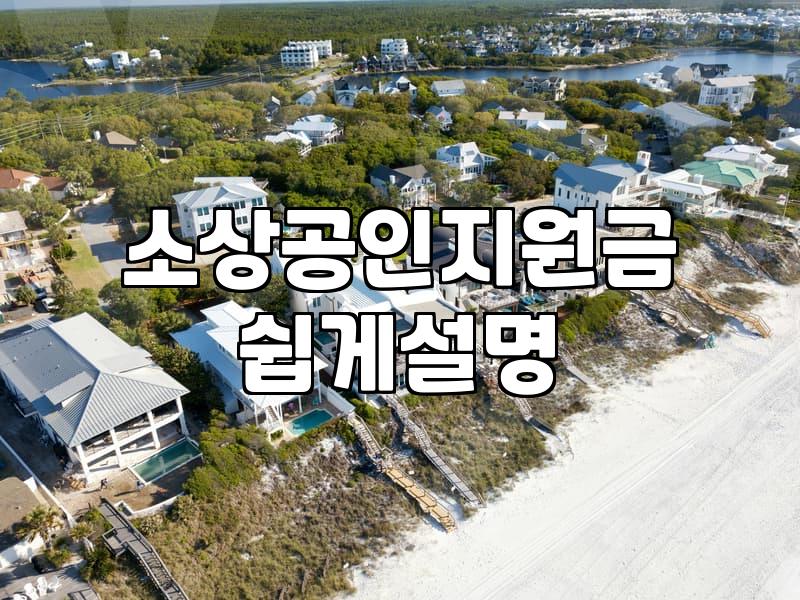 정부보조금 신청할 때 가장 많이 놓치는 선정 기준