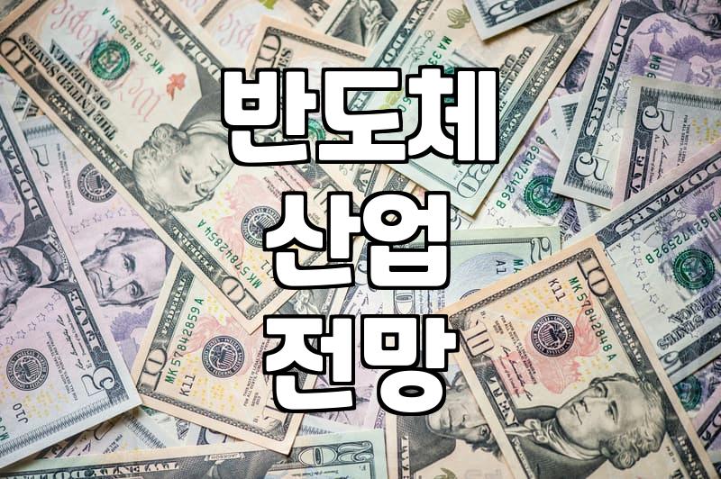 삼성전자 리스크 분석 투자자가 확인해야 할 핵심 변수