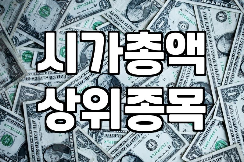 코스피시총순위 변화가 투자 전략에 미치는 실질적인 영향