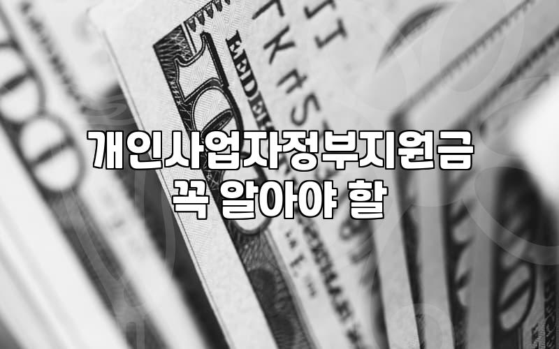 소상공인지원 자금 신청 조건과 필수 서류 준비 방법