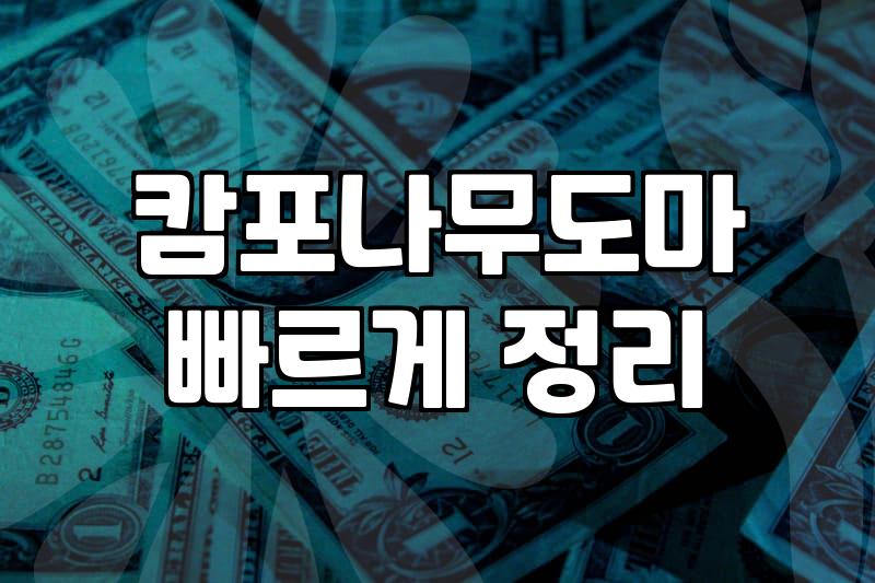 미니도마 선택 시 고려할 실질적인 사이즈와 관리법