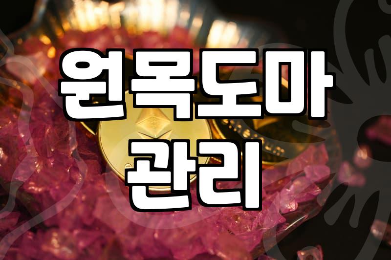 느티나무도마 구입 전 확인해야 할 내구성과 관리 기준