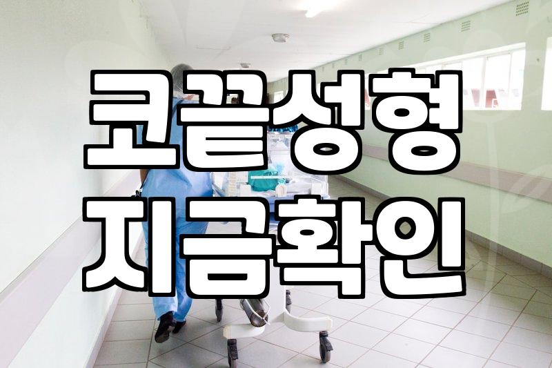 화살코성형 수술 원리와 이상적인 코끝 각도 조절 방법