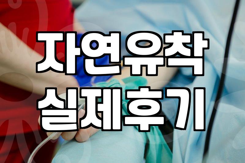 압구정눈성형 비용과 병원 선택에서 실제로 확인해야 하는 기준