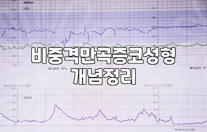 기능코성형 비용 산정 기준과 실손보험 적용 범위