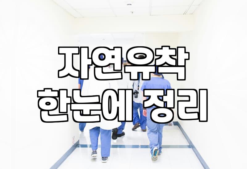 눈성형잘하는곳 선택할 때 반드시 확인하는 기준 4가지