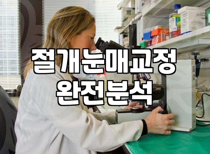 눈성형 종류별 회복 기간과 비용 결정 요인