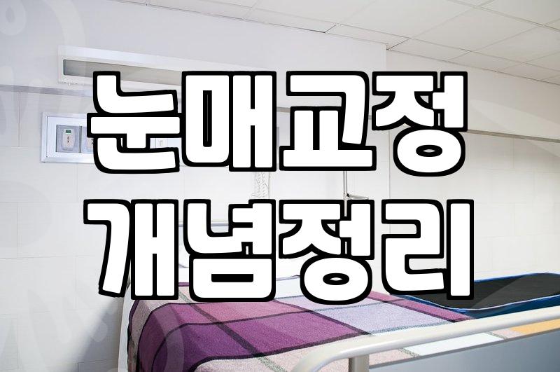 눈성형 방법별 비용과 회복 기간의 현실적인 차이점