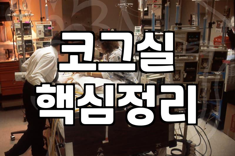 실리프팅 효과와 유지기간을 결정하는 얼굴 조직의 구조적 이해